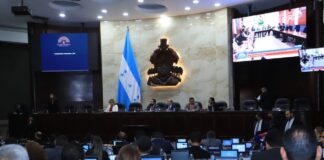 Diputada Suyapa Figueroa reacciona indignada por millonarios gastos del CN; mientras que el oficialismo defiende la necesidad de tener asesores