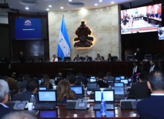 Diputada Suyapa Figueroa reacciona indignada por millonarios gastos del CN; mientras que el oficialismo defiende la necesidad de tener asesores