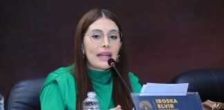 Tras elección de Jorge El ir Cálix, Iroshka asegura que la presidencia del Congreso Nacional debe ser para un liberal si o si