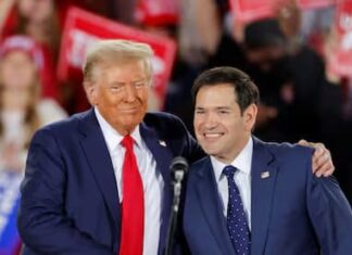 Trump puede nombrar al senador cubano-estadounidense Marco Rubio como Secretario de Estado