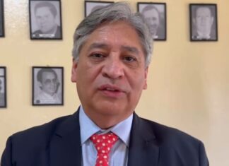 Analista condena que ministra de DDHH ataque a un precandidato presidencial