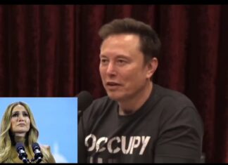 Musk sobre escándalo de Puff Daddy: «Todas las estrellas que han declarado su apoyo a Kamala, estuvieron en sus fiestas y muchos de ellos le proporcionaban niños»