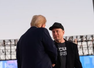 Elon Musk se dispone a recoger los frutos de su alianza electoral con Trump