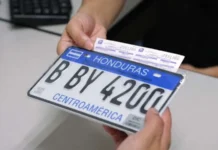 El Instituto de la Propiedad abre licitación internacional para adquisición de placas vehiculares