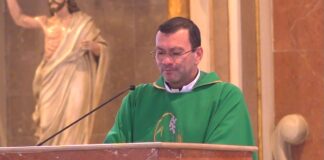 «Cristo se ha ofrecido una sola vez para quitar los pecados de todos»:Homilía Dominical