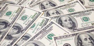 En el primer semestre de 2024, se registraron 500 millones de dólares en inversión extranjera directa