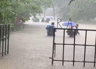 Más de 20,000 personas afectadas por la Tormenta Tropical Sara en Honduras