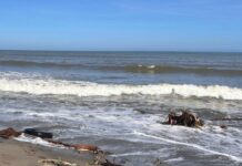 Encuentran muerto a menor que se había robado un cayuco en La Ceiba