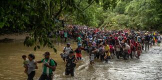Más de 300.500 migrantes han cruzado el Darién en 2024, un 41 % menos que el año pasado