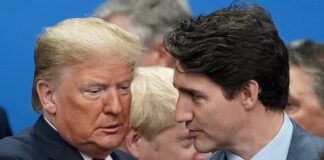 Musk se une a la pelea entre Trump y Trudeau e insulta al primer ministro canadiense