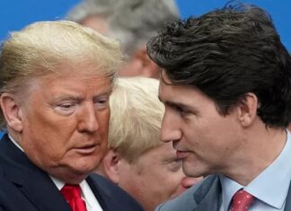 Musk se une a la pelea entre Trump y Trudeau e insulta al primer ministro canadiense