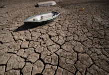 La OMS alerta de que la emergencia climática es “fundamentalmente una crisis de salud”