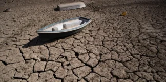 La OMS alerta de que la emergencia climática es “fundamentalmente una crisis de salud”