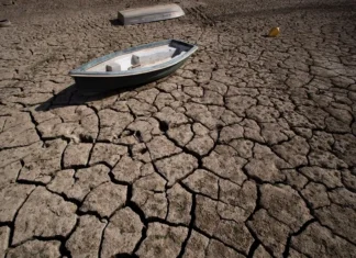 La OMS alerta de que la emergencia climática es “fundamentalmente una crisis de salud”