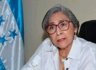 Diputada Maribel Espinoza advierte: “¡La democracia está en peligro!” tras declaraciones de Miguel Briceño