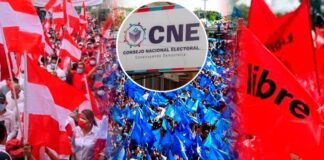 El CNE aprueba la inscripción de 15 movimientos internos para las elecciones primarias de 2025