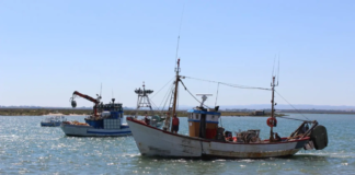 Nueve migrantes mueren y 27 son rescatados en un naufragio frente a las costas de Túnez
