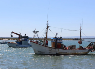 Nueve migrantes mueren y 27 son rescatados en un naufragio frente a las costas de Túnez