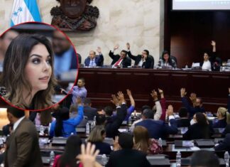 Congreso Nacional otorgará «bonos» navideños y de Reyes, según diputada