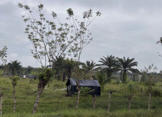 Un viejo conflicto de tierras tiene entre el silencio y el miedo a una región de Honduras