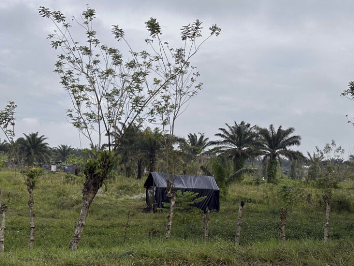 Un viejo conflicto de tierras tiene entre el silencio y el miedo a una región de Honduras