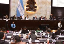 Diputados del Congreso Nacional son convocados para sesionar el martes 21 de enero