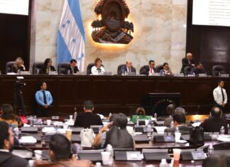 Diputados del Congreso Nacional son convocados para sesionar el martes 21 de enero