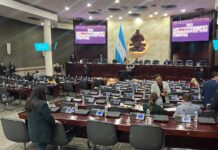 El Congreso Nacional reanudará sus sesiones el 13 de enero, señala Hugo Noé Pino