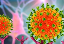 Honduras en alerta, pero no reporta casos de infecciones respiratorias por metapneumovirus