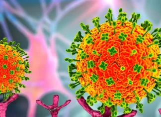 Honduras en alerta, pero no reporta casos de infecciones respiratorias por metapneumovirus