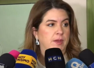 El CNE confirmará adjudicación del TREP a más tardar el 30 de agosto