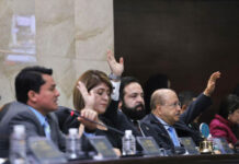 Congreso bloquea renuncia de Ana Paola Hall por ser “condicionada” y TREP queda fuera de vigencia