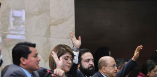 Congreso bloquea renuncia de Ana Paola Hall por ser “condicionada” y TREP queda fuera de vigencia