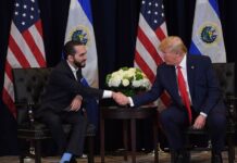 Trump negocia con Bukele enviar a pandilleros del Tren de Aragua a las prisiones de El Salvador