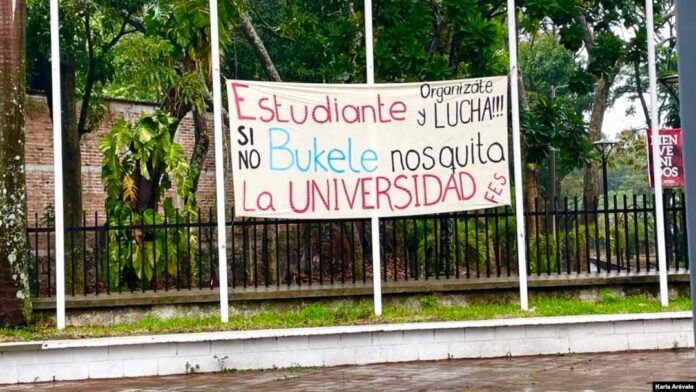 01000000-0aff-0242-65c2-08dc642dcfc9_cx0_cy11_cw100_w1080_h608_s