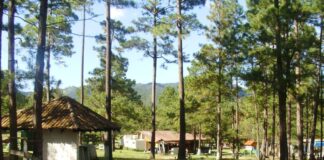 El Gobierno llevará a cabo la remodelación del Parque Obrero con una inversión de 18 millones de lempiras