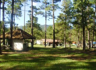El Gobierno llevará a cabo la remodelación del Parque Obrero con una inversión de 18 millones de lempiras
