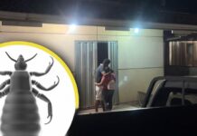 ¡Lamentable!Un bebé de 10 meses fallece luego de ingerir accidentalmente veneno para piojos