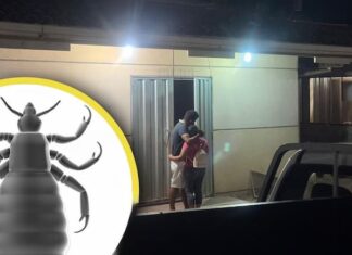 ¡Lamentable!Un bebé de 10 meses fallece luego de ingerir accidentalmente veneno para piojos