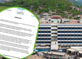 Hospital Escuela vincula la presencia de plagas a los negocios de comida y talleres cercanos