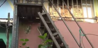 Hondureña se lleva el susto de su vida al hallar a hombre muerto dentro de pila