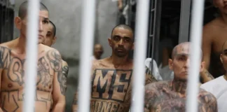 EE.UU. considera como terroristas a seis carteles mexicanos, al Tren de Aragua y la MS-13