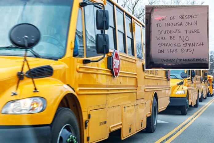 bus-escolar