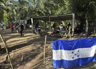 Declaran emergencia por conflicto de tierras y acusan a Gobierno hondureño de ser cómplice