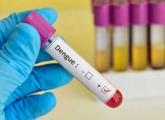 El Seguro Social informa sobre 360 casos de dengue, de los cuales seis son graves