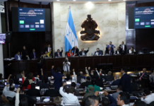 Baja efectividad en el Congreso Nacional: Solo 126 decretos aprobados en 2024, revela informe del CNA