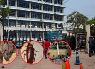 Entre plagas y abandono, el Hospital Escuela está cada vez más cerca de colapsar: Suyapa Figueroa