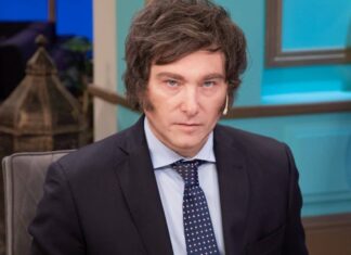 Tras el cruce con Donald Trump, Javier Milei ordenó borrar todas sus fotos con Zelenski