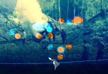 Honduras alcanza un récord histórico de municipios con cultivos de coca, según revela Insight Crime