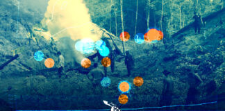 Honduras alcanza un récord histórico de municipios con cultivos de coca, según revela Insight Crime